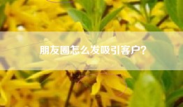 朋友圈怎么发吸引客户？