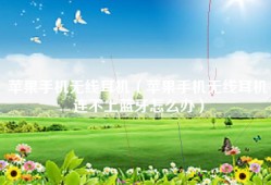 苹果手机无线耳机（苹果手机无线耳机连不上蓝牙怎么办）