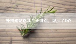 外贸建站这几个关键点，你get了吗？