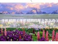 手机掉网（手机掉网约车上怎么办）