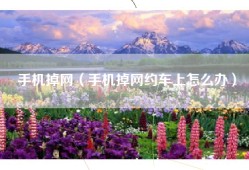 手机掉网（手机掉网约车上怎么办）