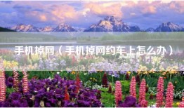 手机掉网（手机掉网约车上怎么办）