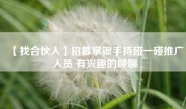 【找合伙人】招募掌银手持碰一碰推广人员 有兴趣的聊聊