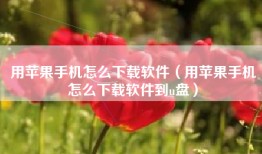 用苹果手机怎么下载软件（用苹果手机怎么下载软件到u盘）
