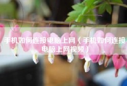 手机如何连接电脑上网（手机如何连接电脑上网视频）