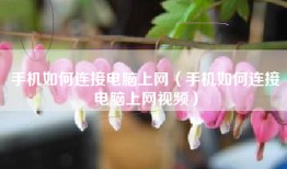 手机如何连接电脑上网（手机如何连接电脑上网视频）