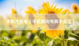 手机才充电（手机刚充电就不充了）