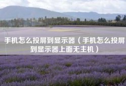 手机怎么投屏到显示器（手机怎么投屏到显示器上面无主机）