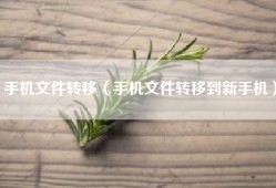 手机文件转移（手机文件转移到新手机）