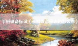 手机设备标识（手机设备标识码怎么看）
