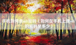 手机如何查wifi密码(如何在手机上查wifi的密码是多少)