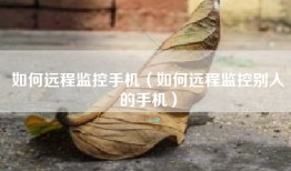 如何远程监控手机（如何远程监控别人的手机）