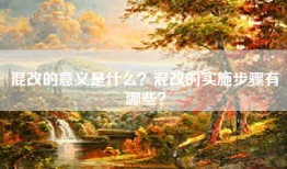 混改的意义是什么？混改的实施步骤有哪些？
