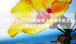 苹果手机怎么加密应用（苹果手机怎么加密应用权限）