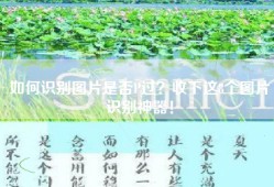 如何识别图片是否P过？收下这8个图片识别神器！