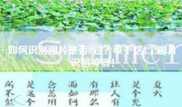 如何识别图片是否P过？收下这8个图片识别神器！