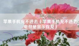 苹果手机充不进去（苹果手机充不进去电但是显示在充）
