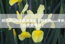附近的oppo手机专卖店（附近的oppo手机专卖店电话）