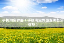 手机淘宝界面（手机淘宝界面变黑怎么恢复）