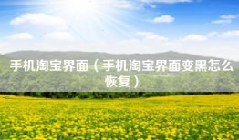 手机淘宝界面（手机淘宝界面变黑怎么恢复）
