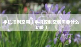 手机控制空调（手机控制空调需要什么功能）