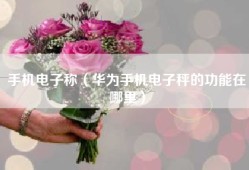 手机电子称（华为手机电子秤的功能在哪里）