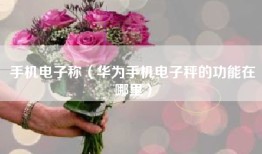 手机电子称（华为手机电子秤的功能在哪里）