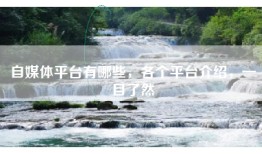 自媒体平台有哪些，各个平台介绍，一目了然