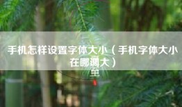 手机怎样设置字体大小（手机字体大小在哪调大）