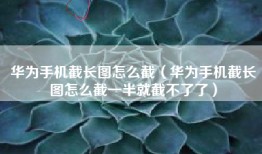 华为手机截长图怎么截（华为手机截长图怎么截一半就截不了了）