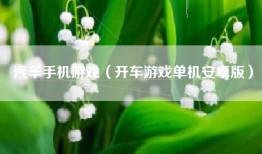 汽车手机游戏（开车游戏单机安卓版）