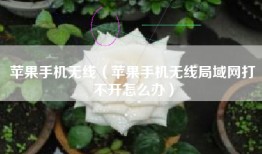 苹果手机无线（苹果手机无线局域网打不开怎么办）