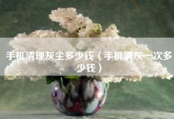 手机清理灰尘多少钱（手机清灰一次多少钱）