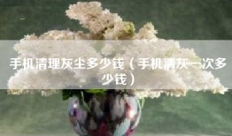 手机清理灰尘多少钱（手机清灰一次多少钱）