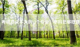 考研意义不大的11个专业，本科已够吃香