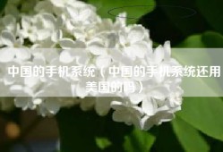 中国的手机系统（中国的手机系统还用美国的吗）