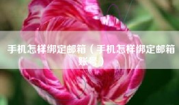 手机怎样绑定邮箱（手机怎样绑定邮箱账号）