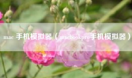 mac 手机模拟器（macbookpro手机模拟器）