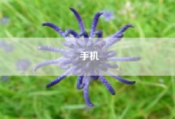 手机