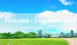 手机放冰箱里（手机放冰箱里会坏吗）