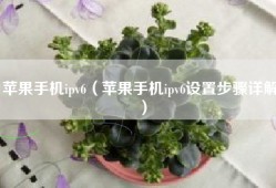 苹果手机ipv6（苹果手机ipv6设置步骤详解）