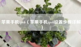 苹果手机ipv6（苹果手机ipv6设置步骤详解）