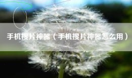 手机搜片神器（手机搜片神器怎么用）