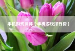 手机游戏测评（手机游戏排行榜）