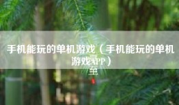 手机能玩的单机游戏（手机能玩的单机游戏APP）
