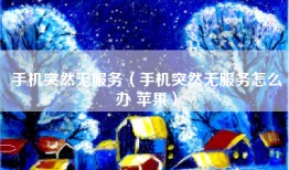 手机突然无服务(手机突然无服务怎么办 苹果)