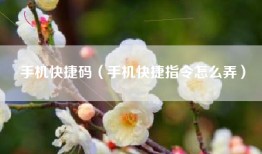 手机快捷码（手机快捷指令怎么弄）