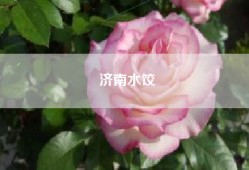 济南水饺