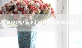 手机投到电脑（手机投到电脑显示器上）