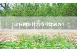 现在创业什么行业比较好？